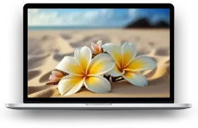 Der große Hooponopono Kurs mit Ulrich Dupree